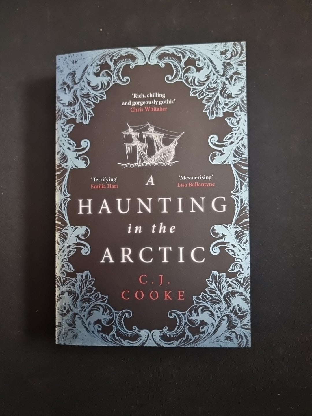 A Haunting in the Arctic by C.J. Cooke Paperback 