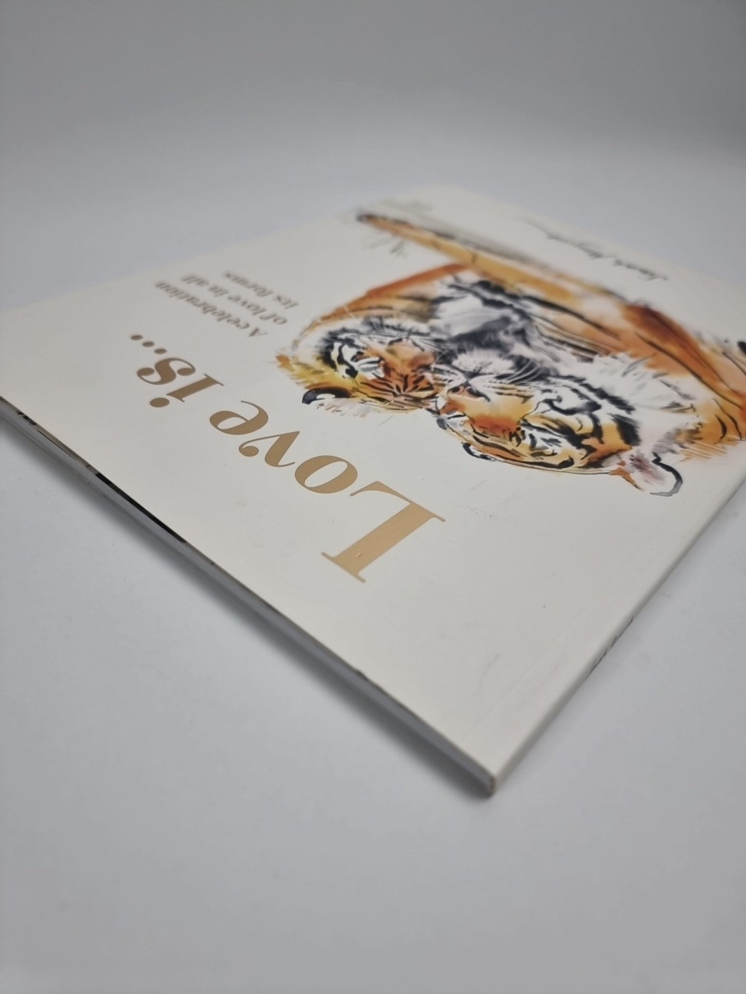 Love Is. Celebration of Love in All Its Forms New Free Tracked Delivery