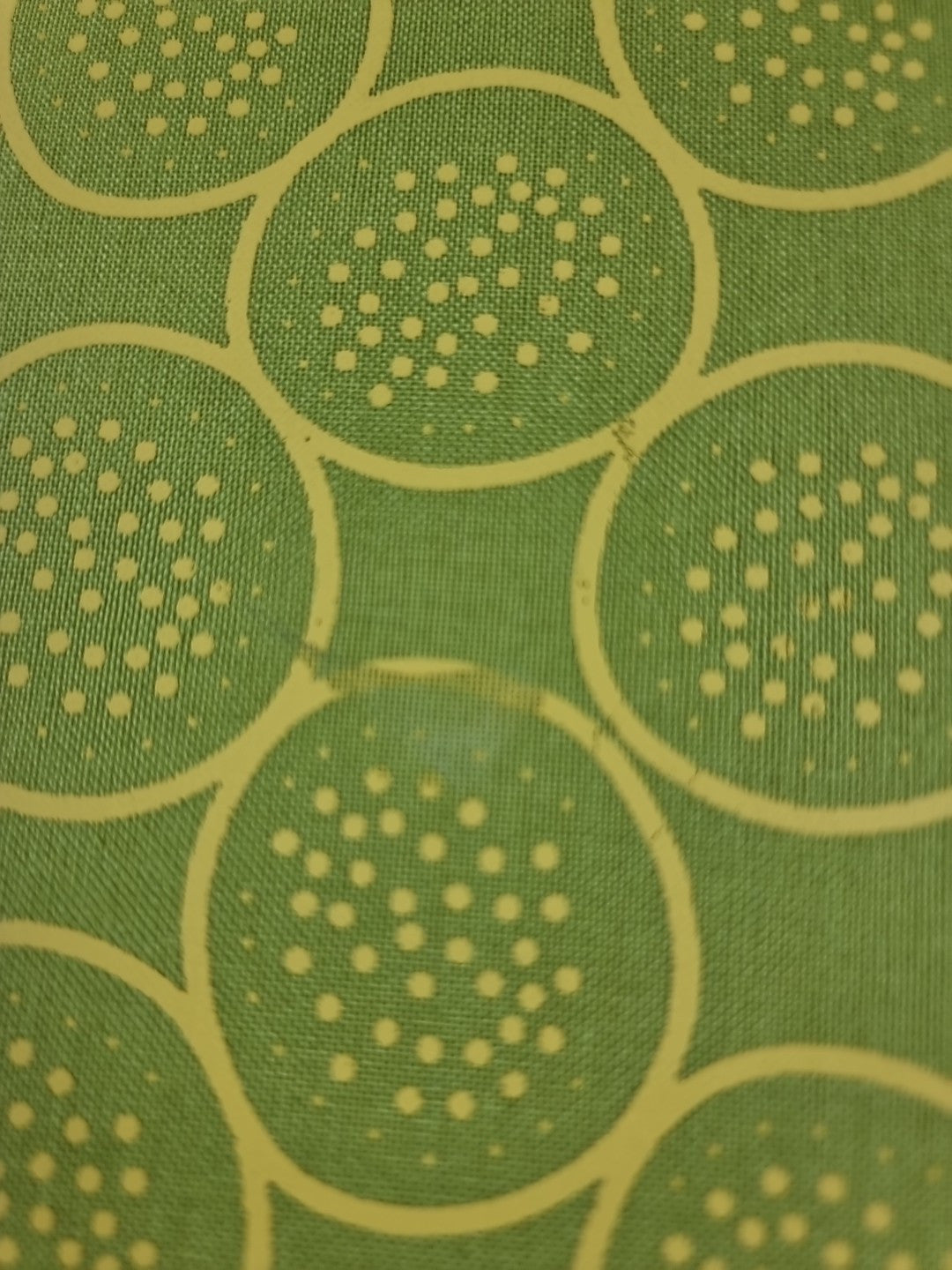 The Day of the Triffids by John Wyndham 