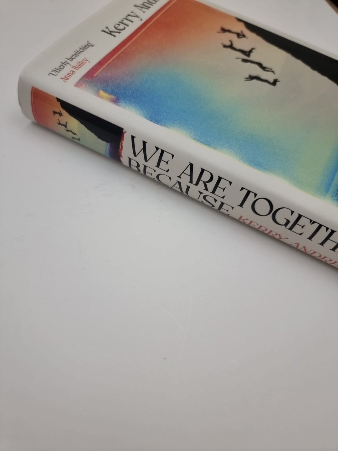 We Are Together Because: A novel of siblings 1st Edition Signed 