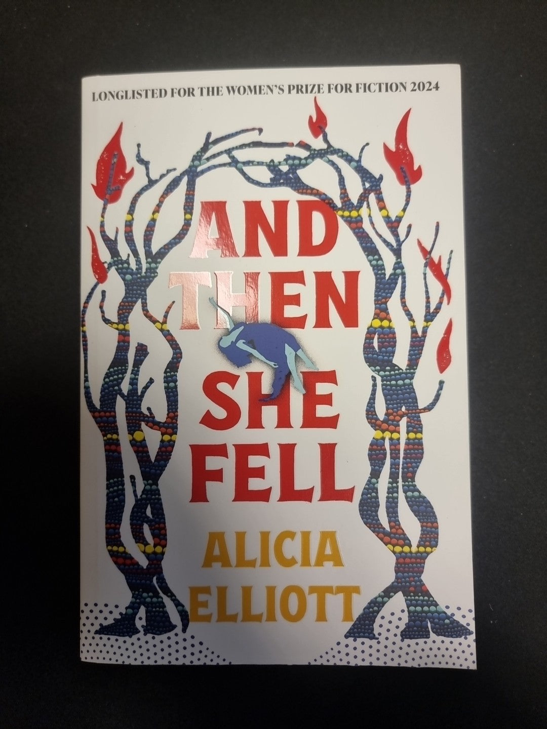 And Then She Fell: LONGLISTED FOR THE WOMEN'S PRIZE 2024
