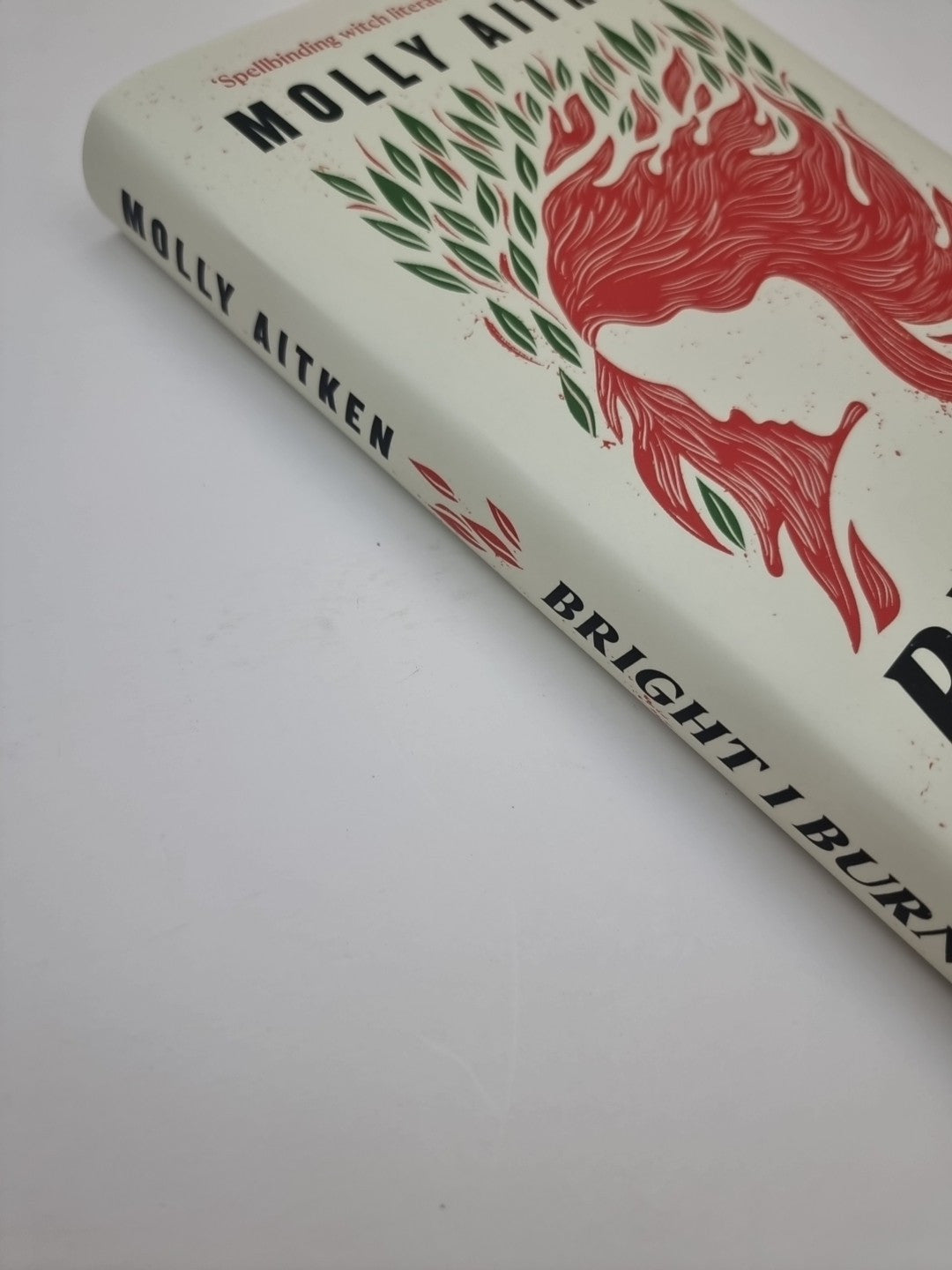 Bright I Burn by Molly Aitken Hardcover Book 1st Edition 