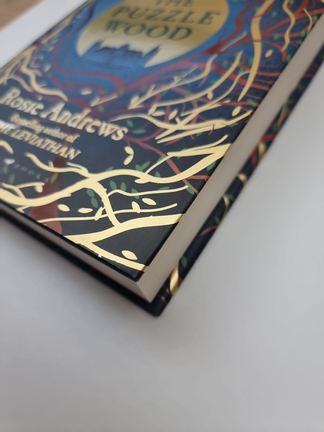 The Puzzle Wood By Rosie Andrews (Hardback, 2024) Signed 1st Edition