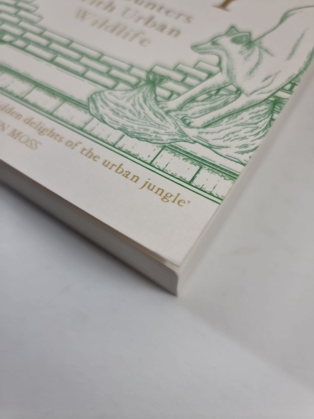 Wild City: Encounters With Urban Wildlife 