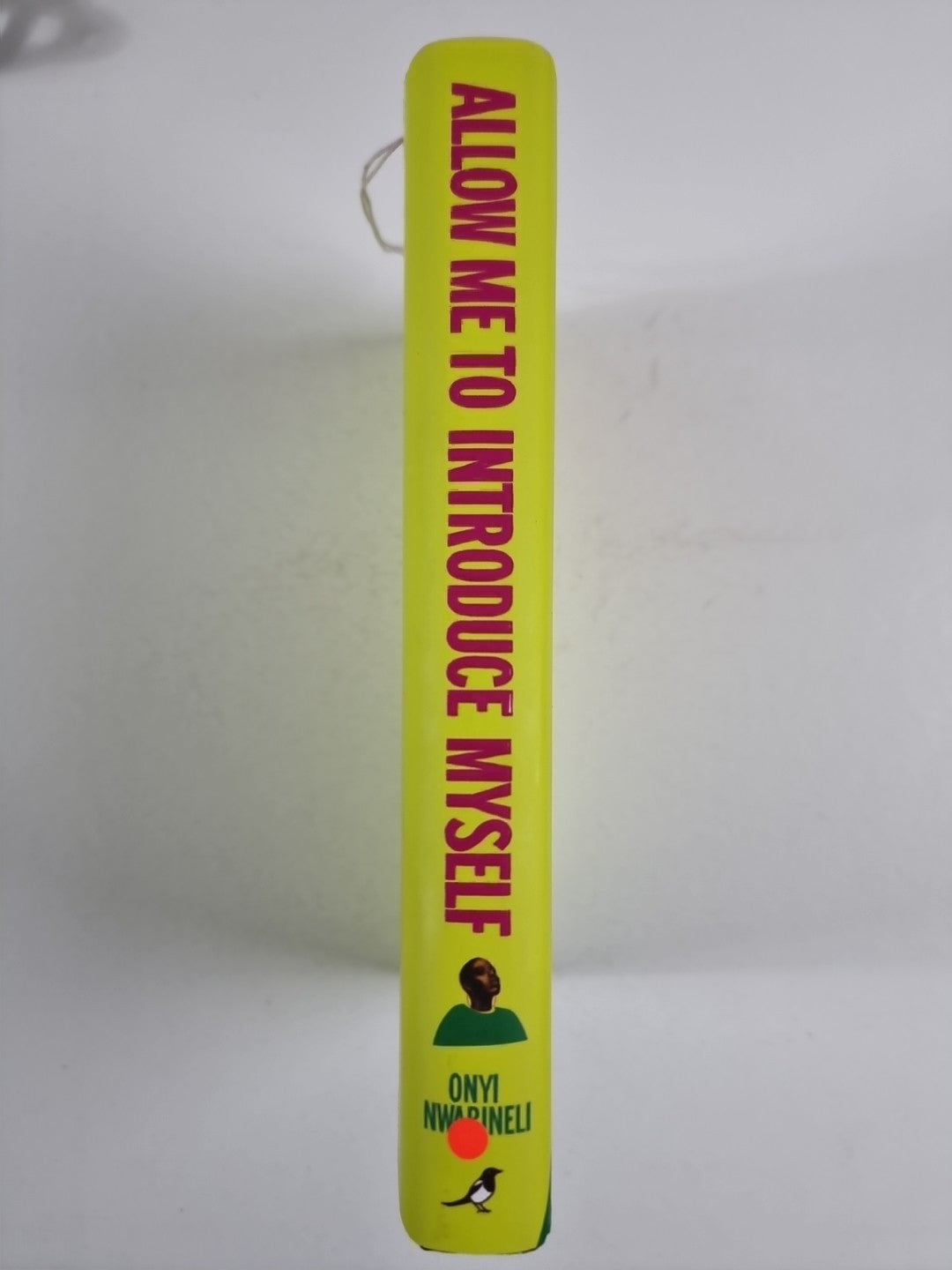 Allow Me To Introduce Myself by Nwabineli, Onyi