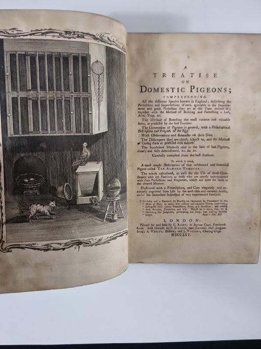 A Treatise on Domestic Pigeons, John Moore 1765 1st Edition, Very Rare
