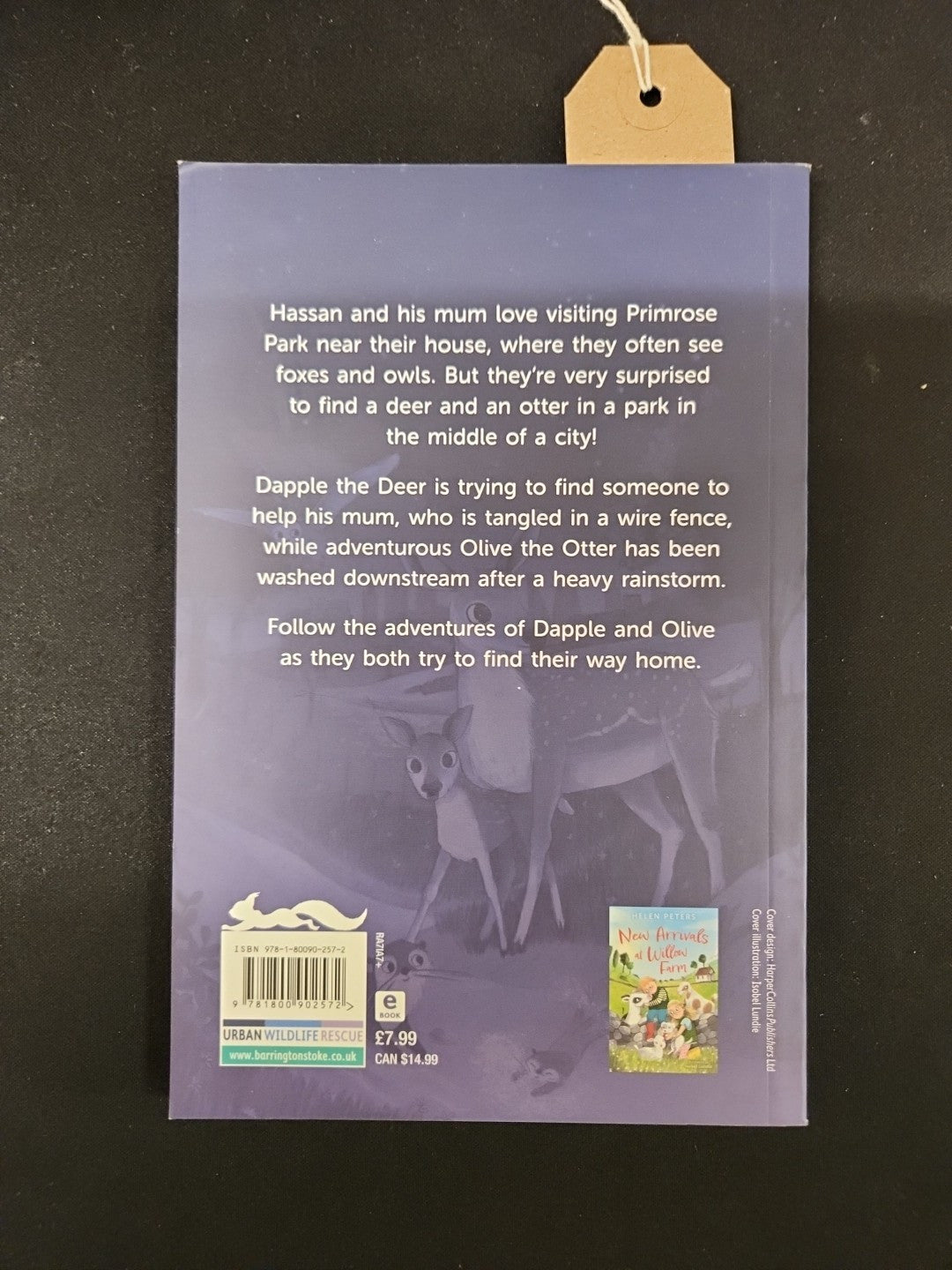 Midnight Adventures in Primrose Park by Helen Peters 