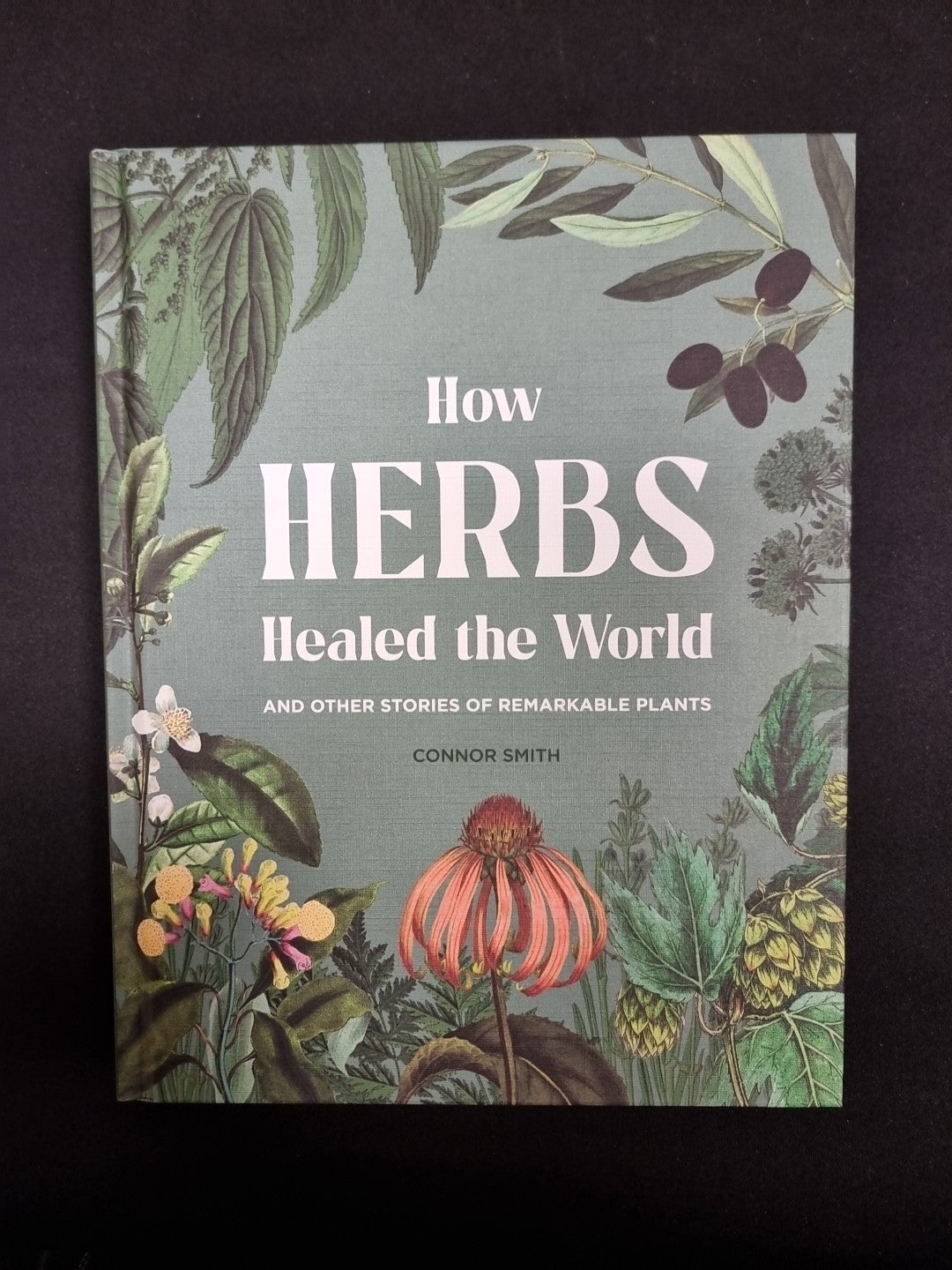 How Herbs Healed the World: And Other Stories of Remarkable Plants New