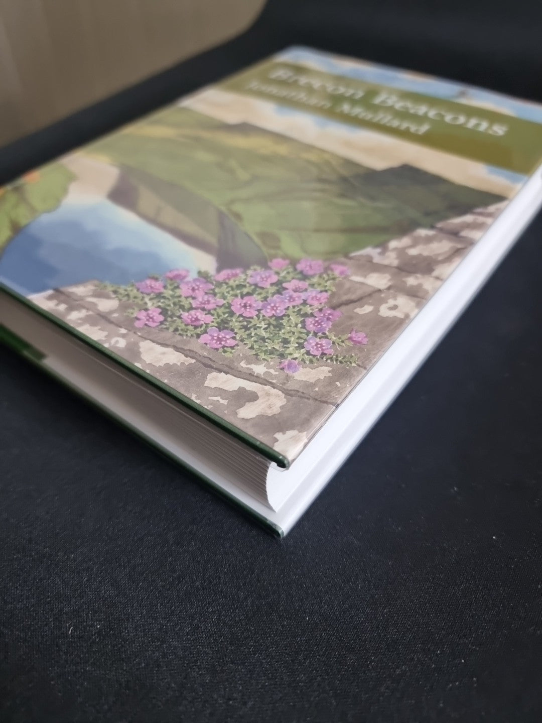 Brecon Beacons (Collins New Naturalist Library, Book 126) by Jonathan Mullard