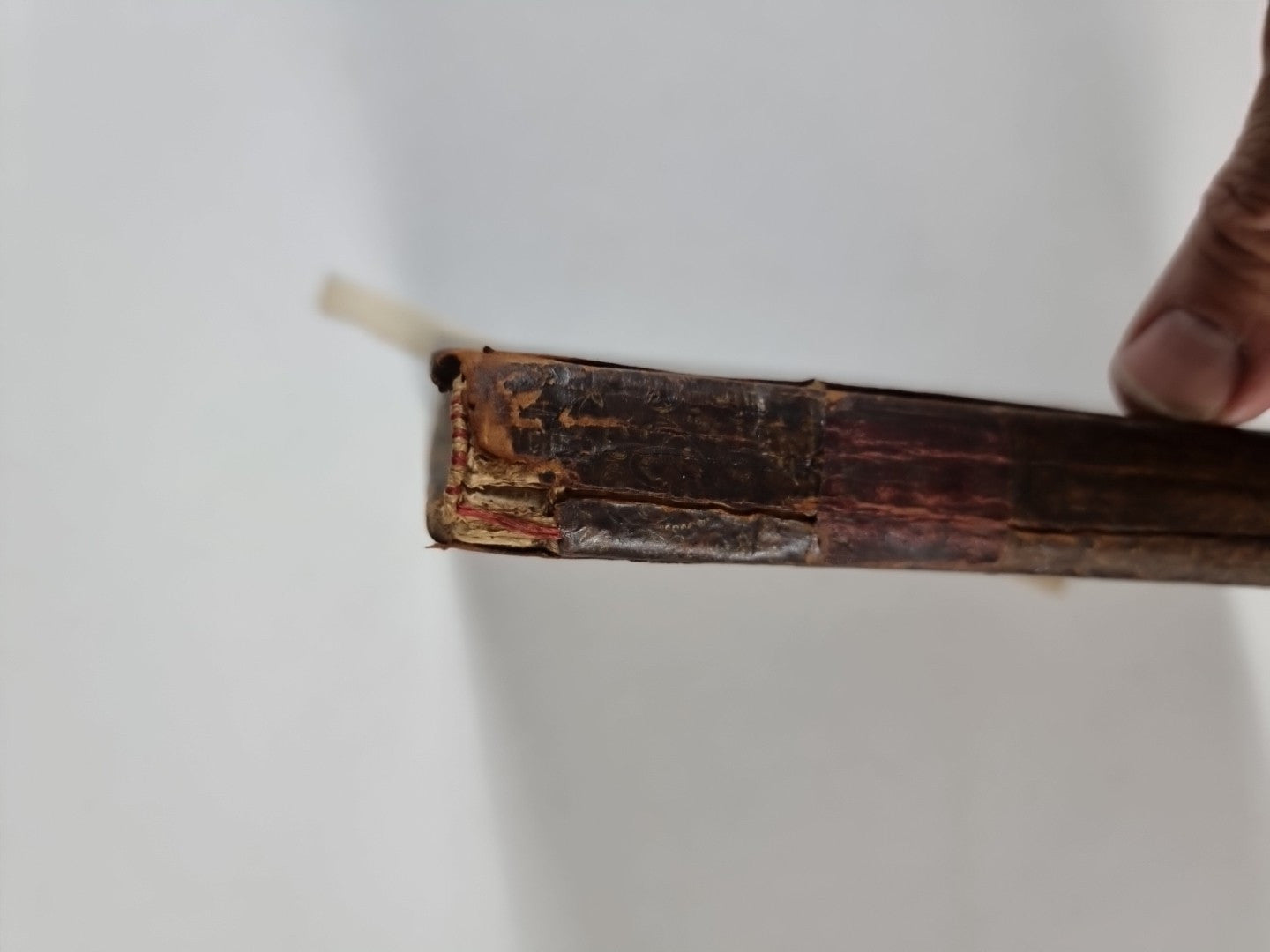 A Treatise on Domestic Pigeons, John Moore 1765 1st Edition, Very Rare