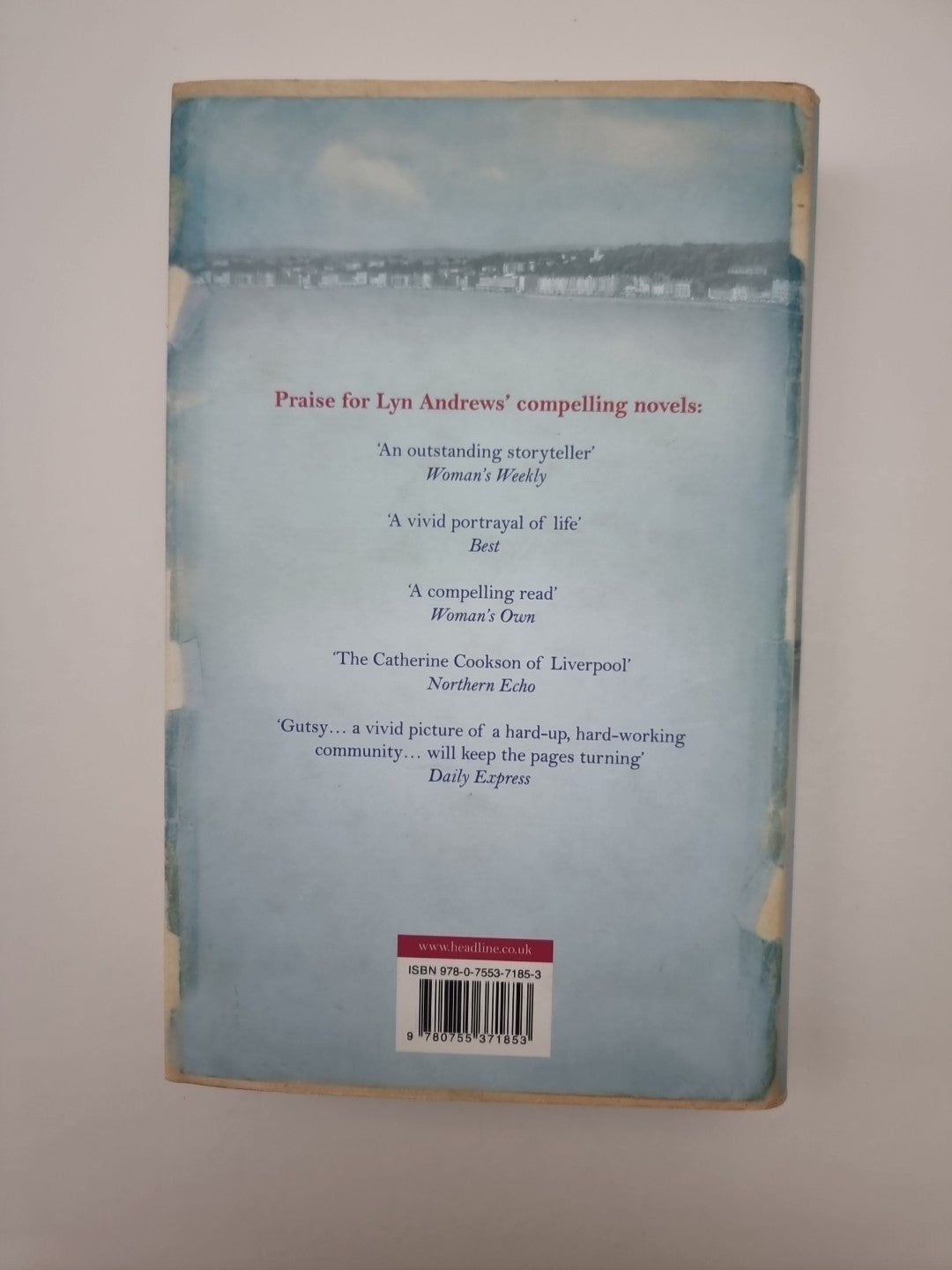 Beyond a Misty Shore: An utterly compelling saga of love and family SIGNED