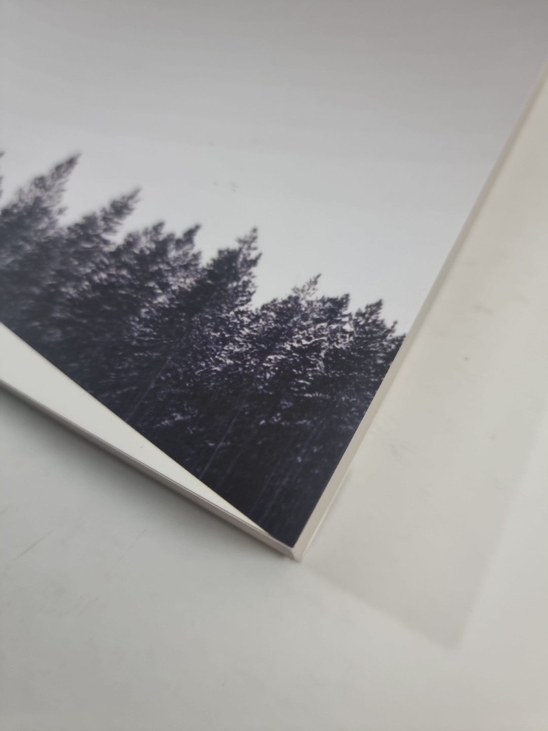 Into the Wild Jon Krakauer 