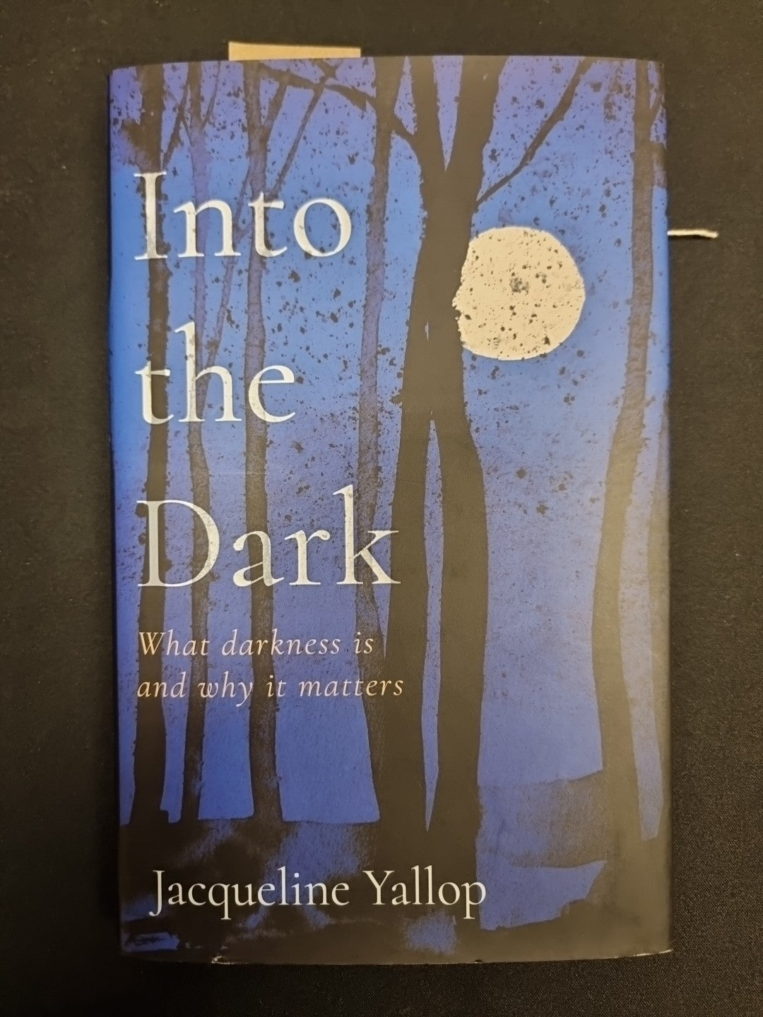 Into the Dark  Jacqueline Yallop 