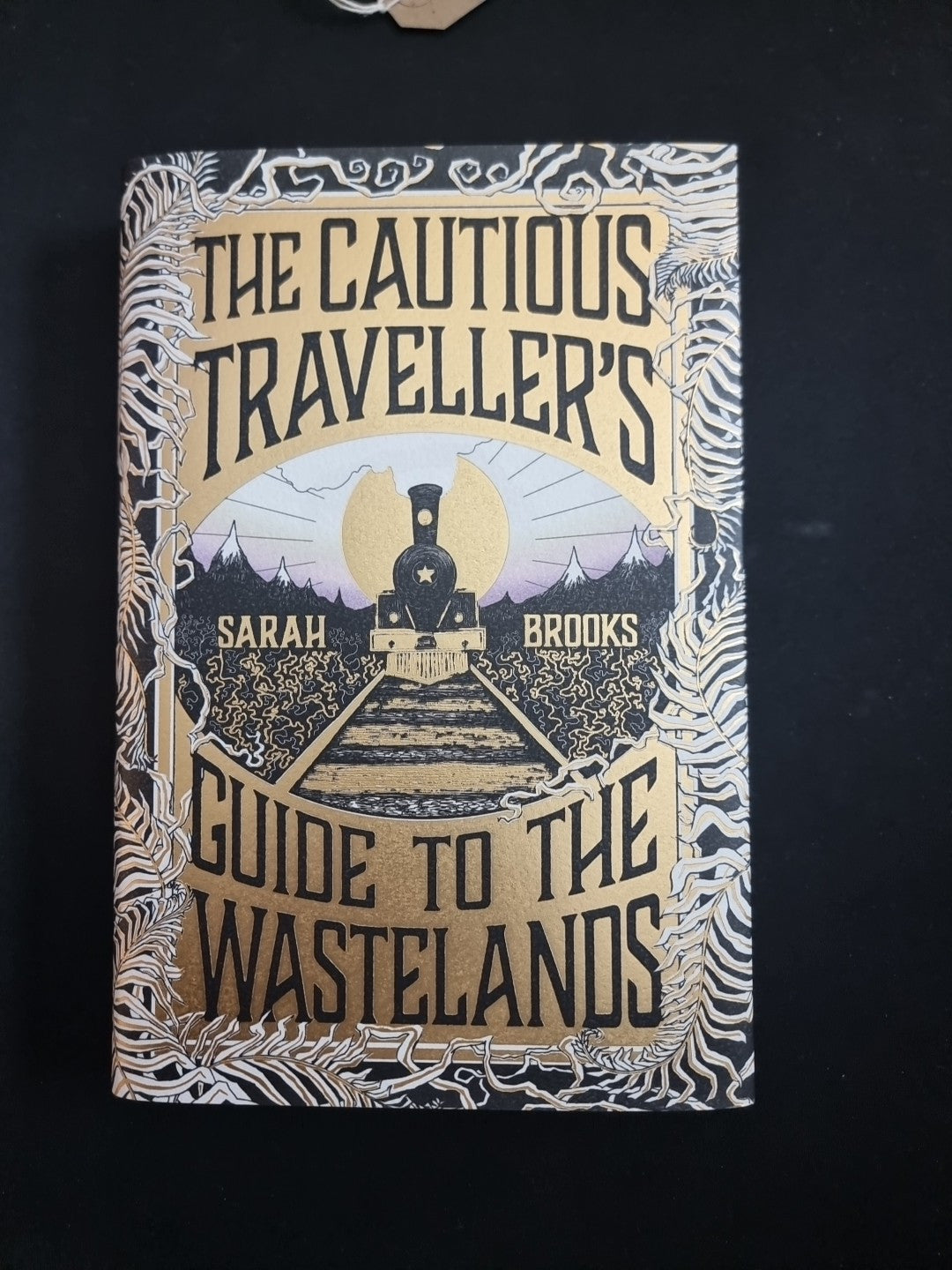 The Cautious Traveller's Guide to The Wastelands by Sarah Brooks 