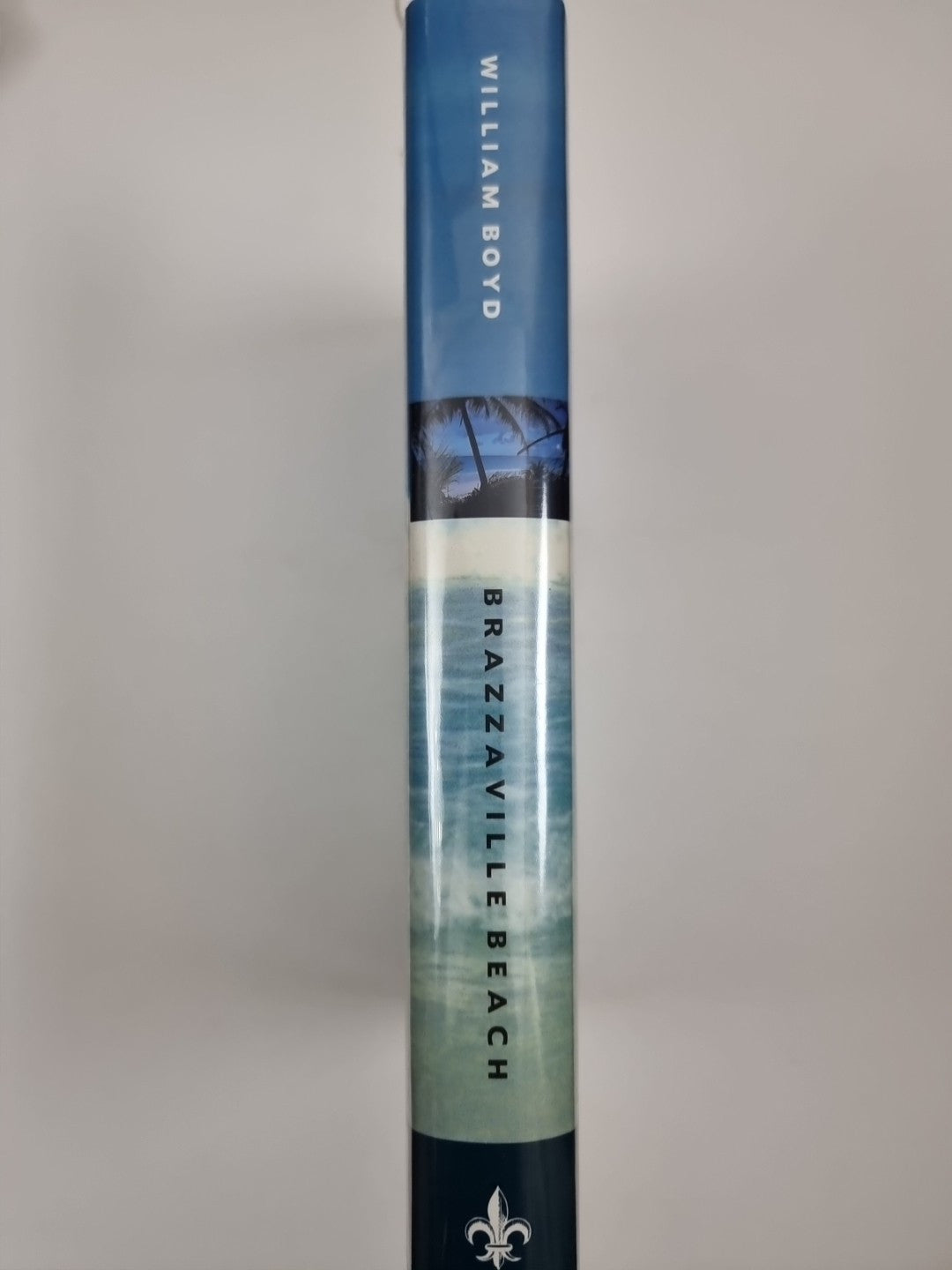 Brazzaville Beach by William Boyd First Edition Hardback Book 1/1 1990 Fiction