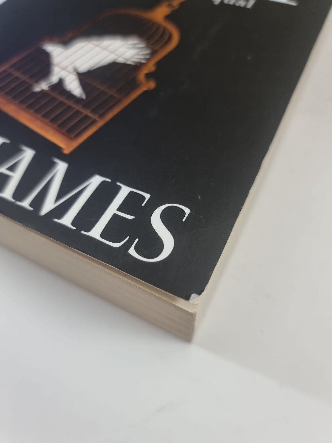 Tarnished City by Vic James (Paperback, 2017) 