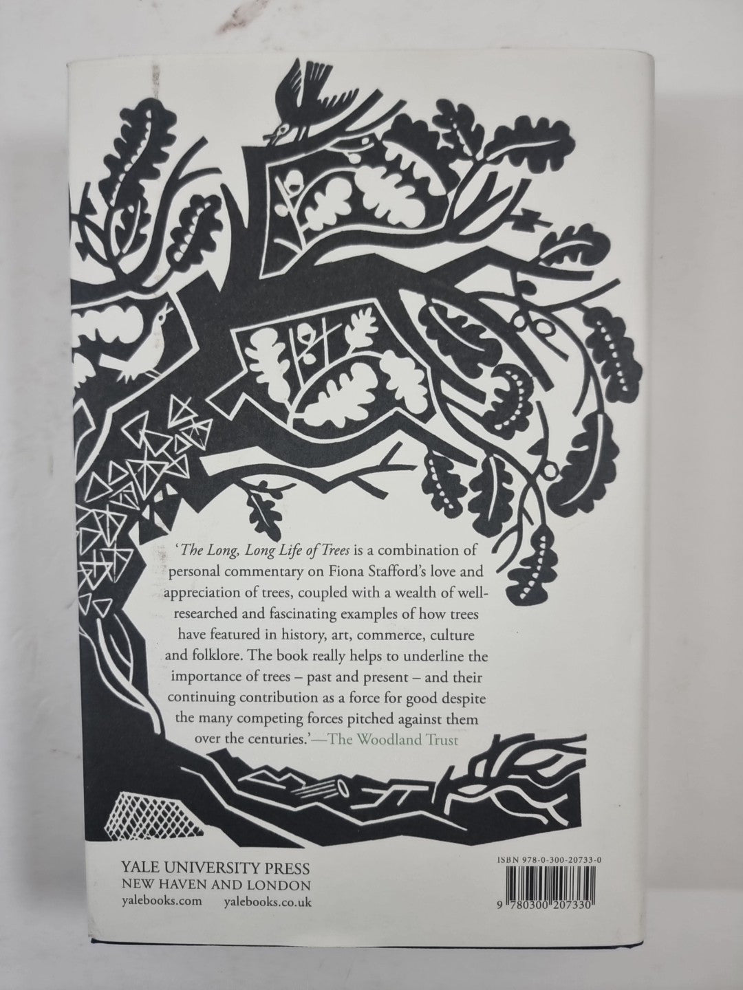 The Long, Long Life of Trees - Stafford, Fiona 