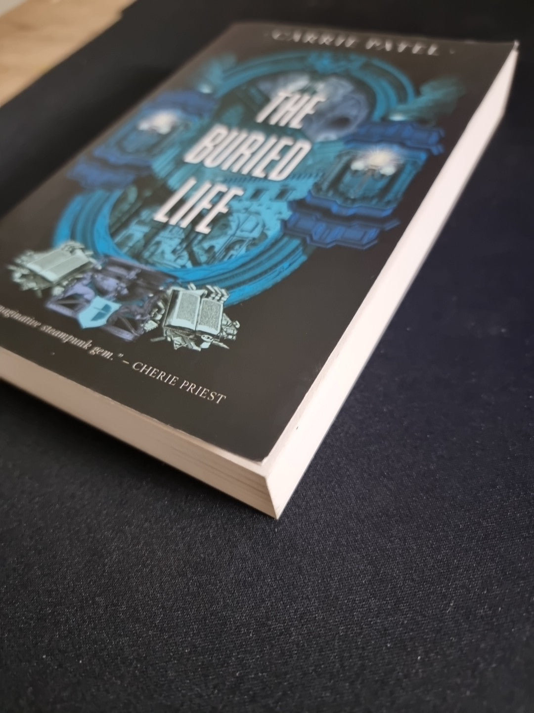 The Buried Life: THE RECOLETTA BOOK by Carrie Patel (1st Print 2015 )