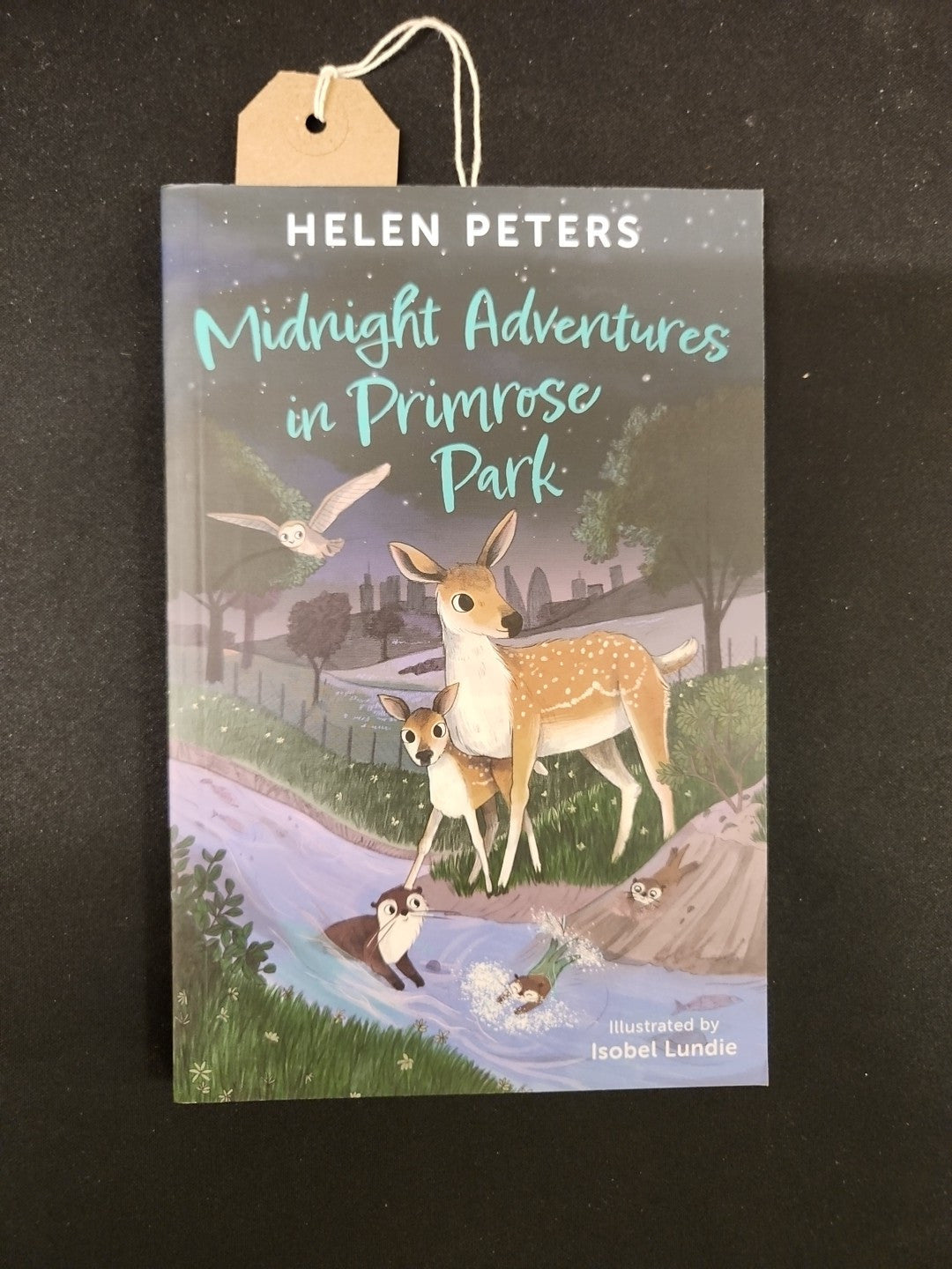 Midnight Adventures in Primrose Park by Helen Peters 