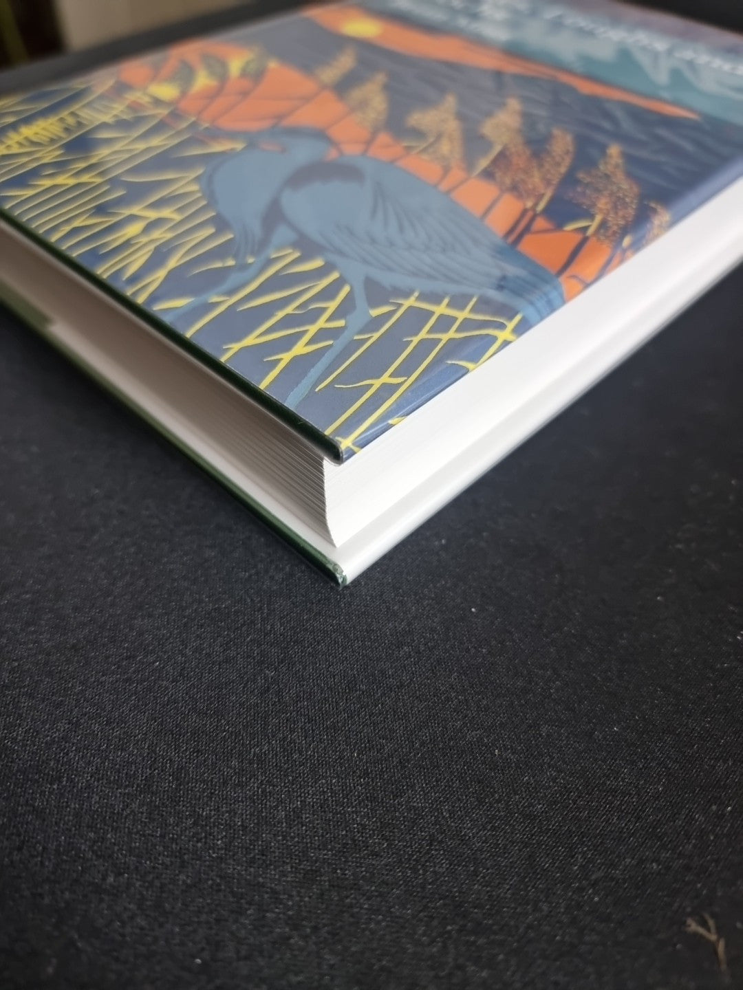 Lakes, Loughs and Lochs (Collins New Naturalist Library, Book 128) by Brian Moss