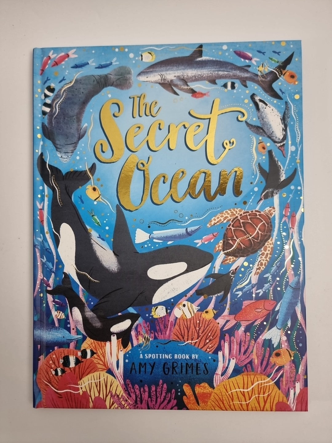 The Secret Ocean by Amy Grimes NEW Free UK Delivery