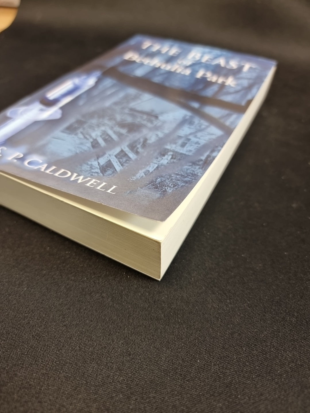 The Beast of Bethulia Park, Caldwell, Simon