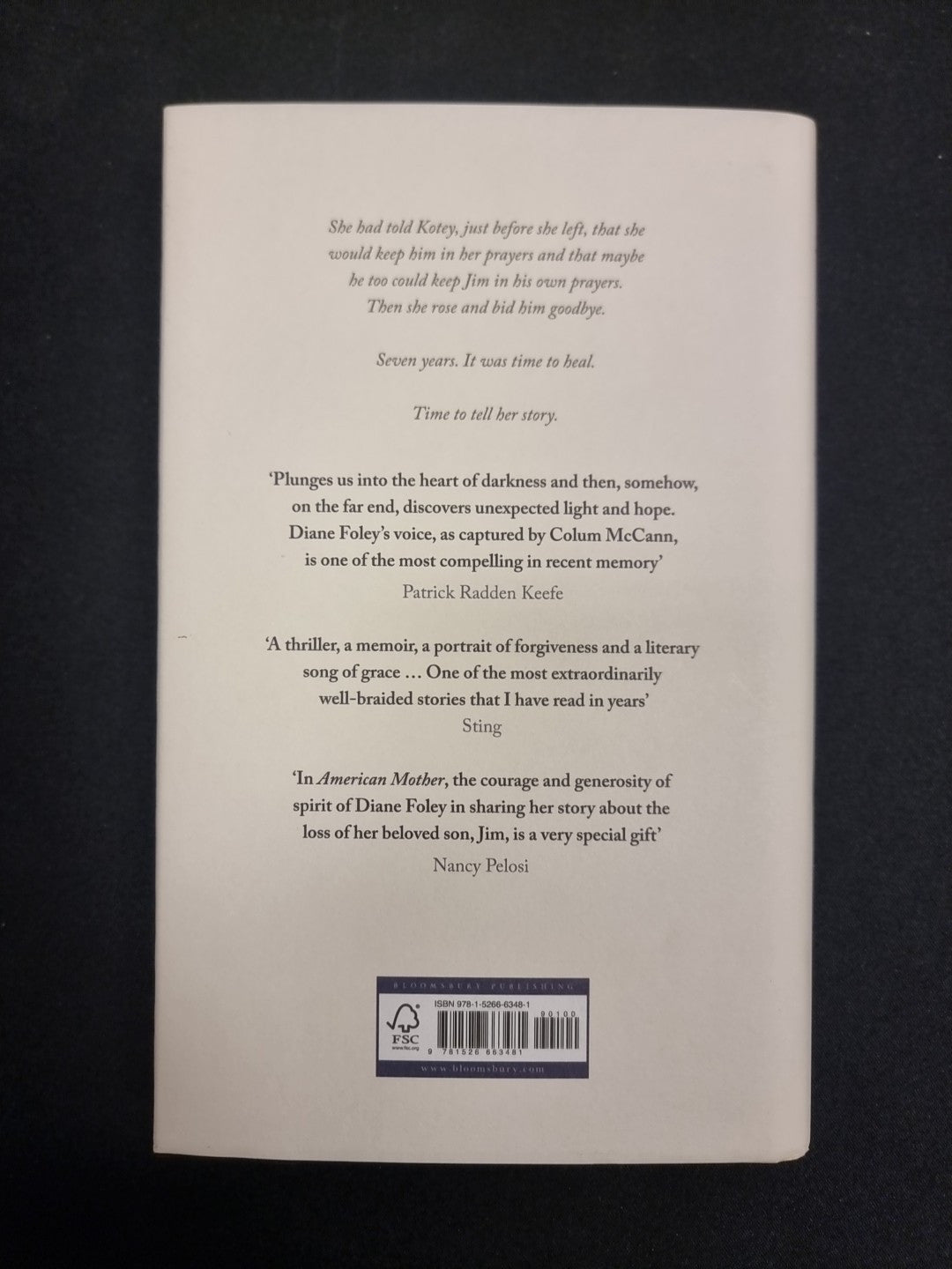 American Mother Colum McCann 