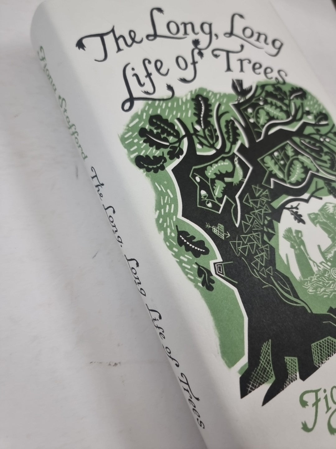 The Long, Long Life of Trees - Stafford, Fiona 