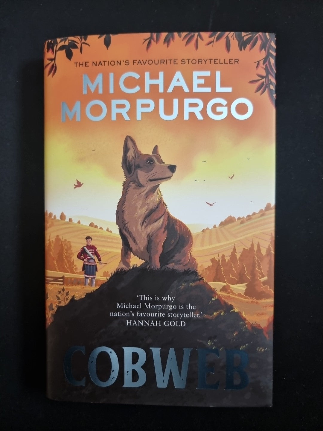 Morpurgo Untitled 2 by Michael Morpurgo (Hardcover, 2021)