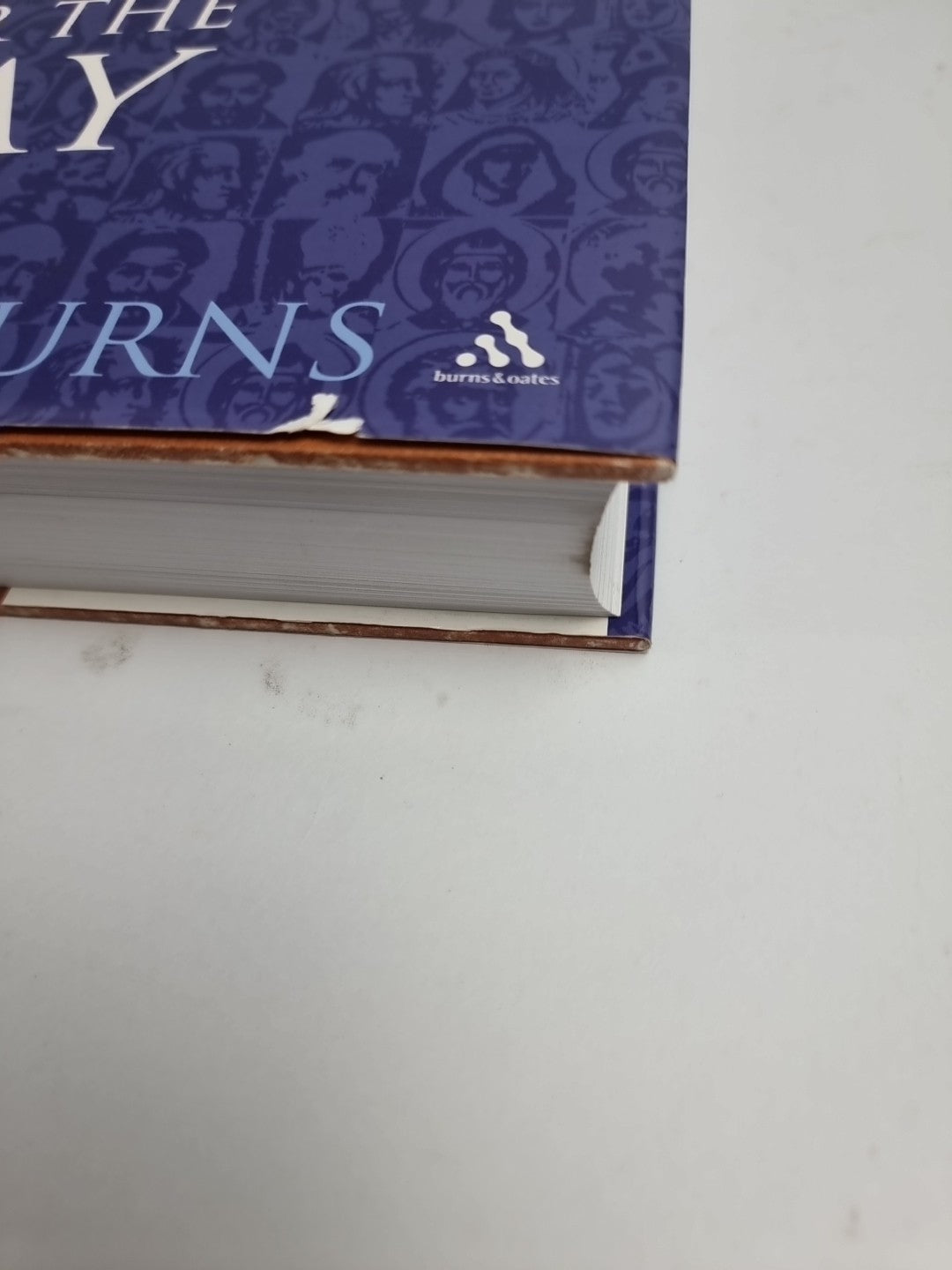 Burns - Butler's Saint for the Day - New hardback Free Tracked Delivery