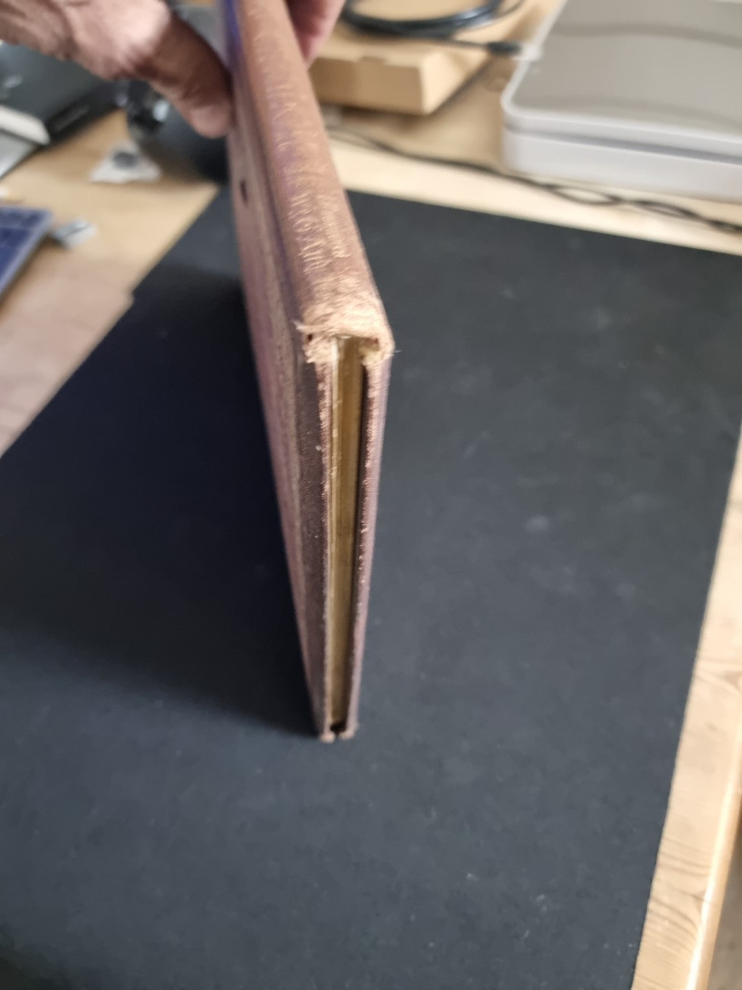 The Prisoner of Chillon LORD BYRON ~ Illuminated by W.G. Audsley First Thus 1865