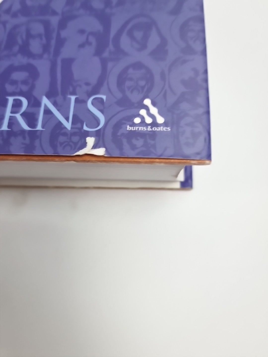 Burns - Butler's Saint for the Day - New hardback Free Tracked Delivery