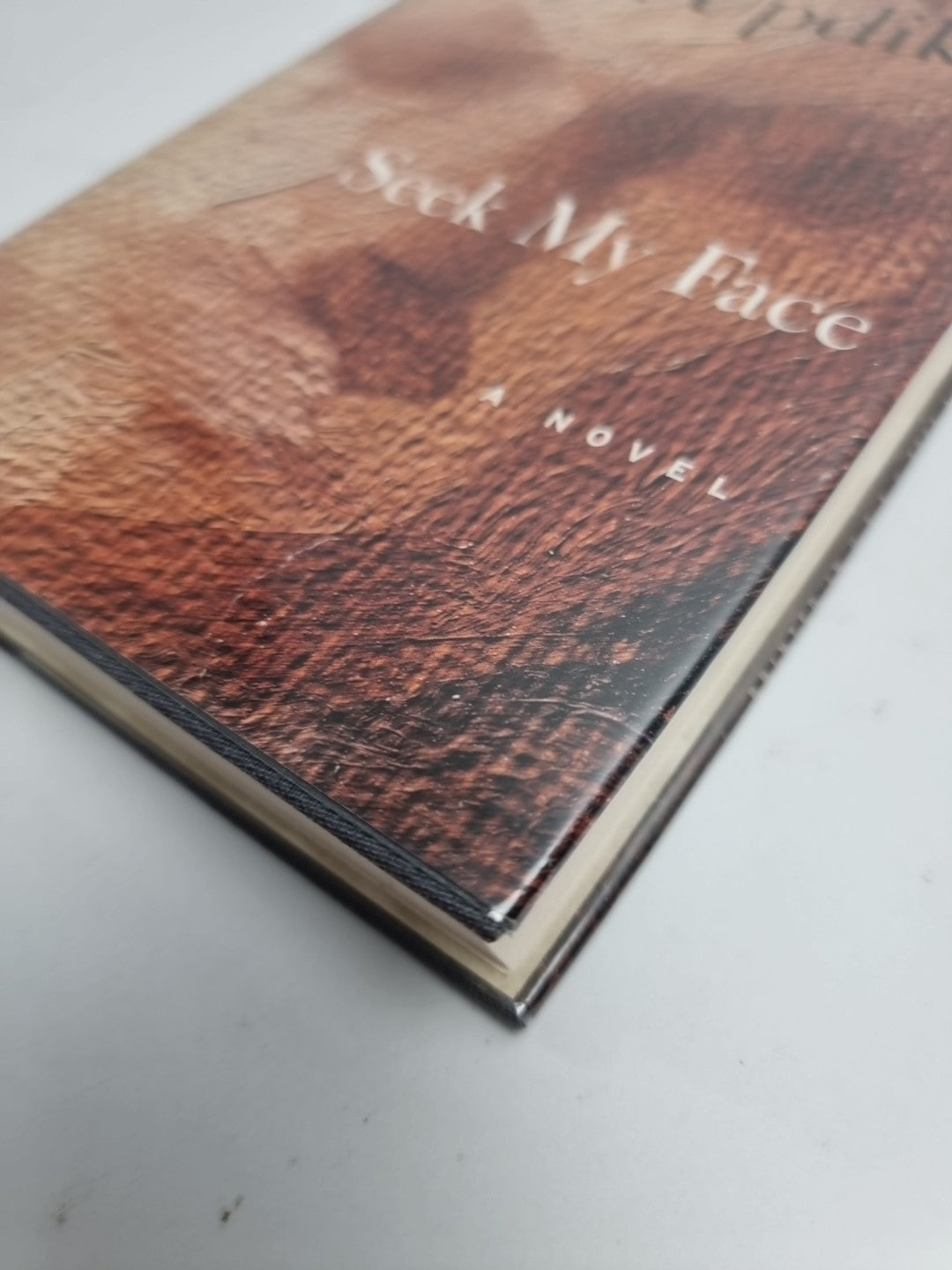 John Updike Seek My Face (Hardback) 1st edition Free Delivery New
