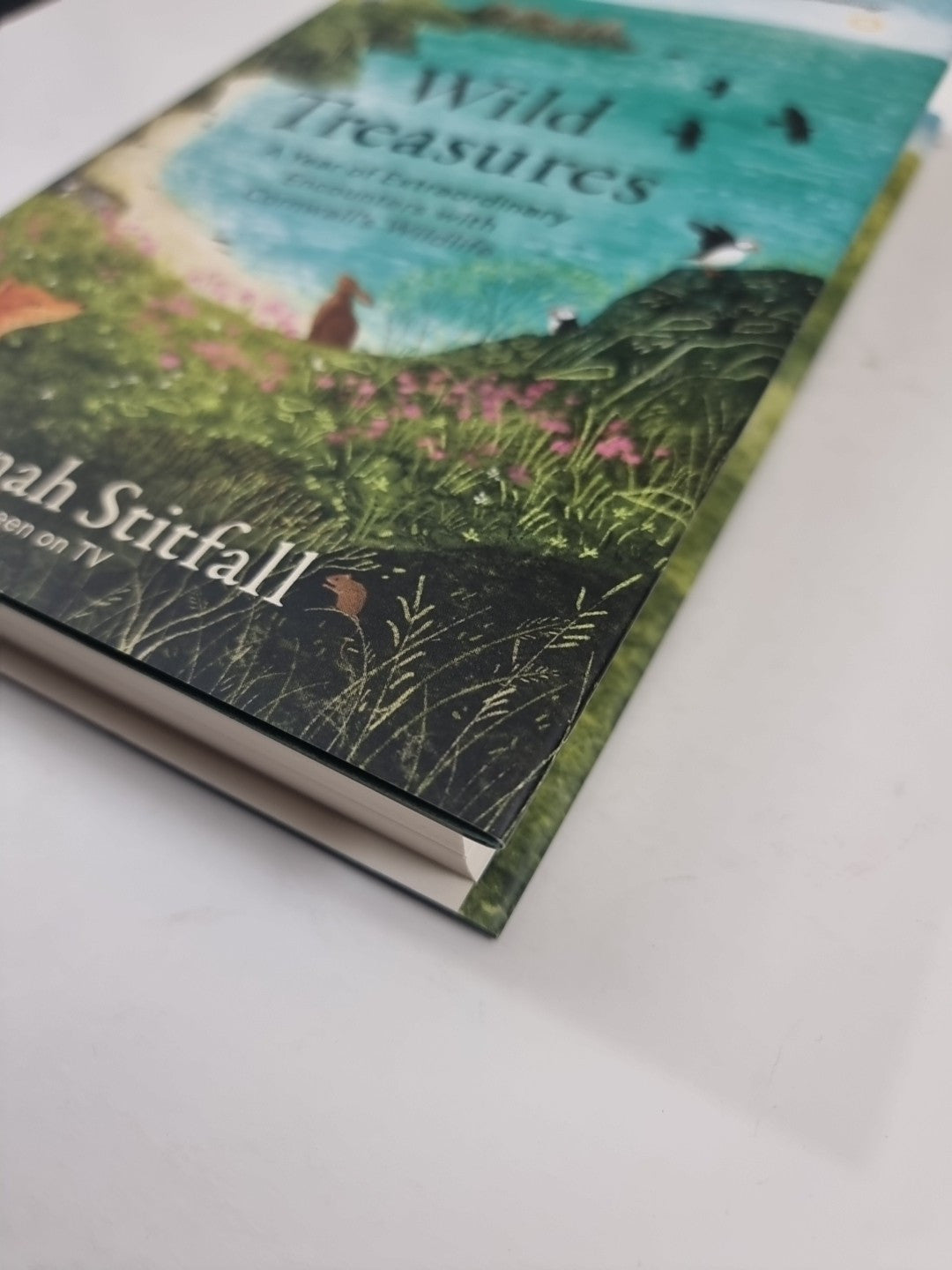 Wild Treasures: A Year of Extraordinary Encounters 