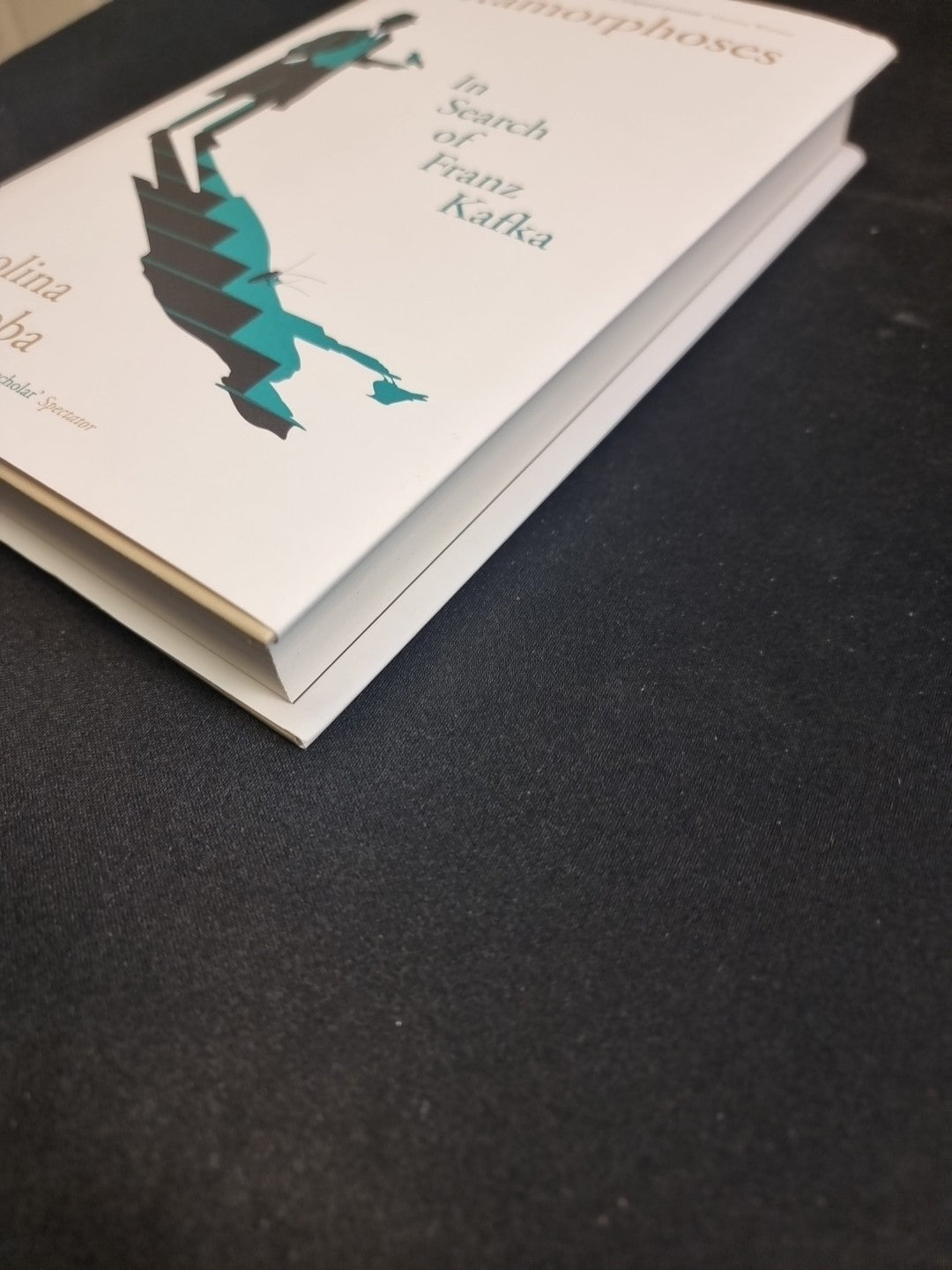 Metamorphoses Karolina Watroba 