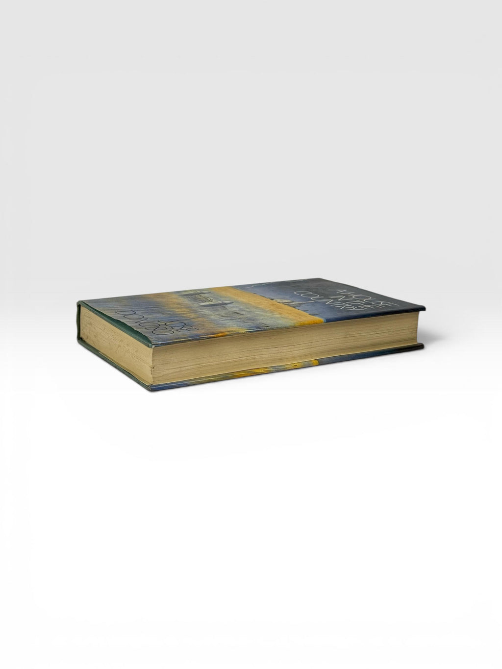 A House in the Country, José Donoso — 1st UK Edition